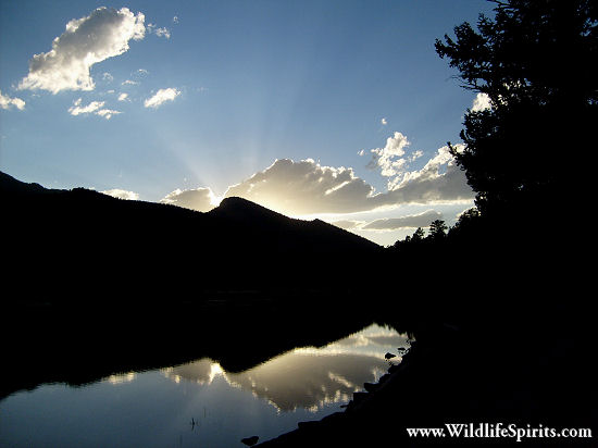Click Picture to send as an  E-PostCard 65k 550x412